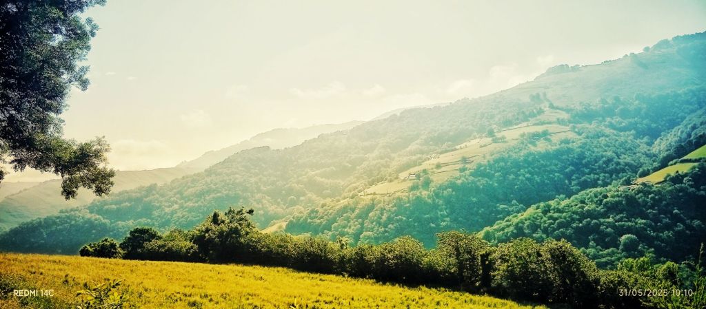 Campos panoramicos gastronomia pirineo