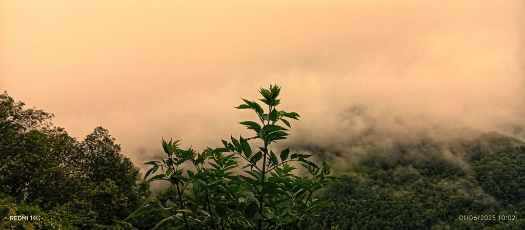 txirimiri, fine oluie de printemp